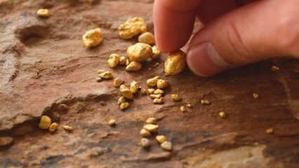 Wall Mural - The miners carried the pure gold in their hands found in the mine into consideration.	