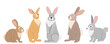 rabbits, hares character flat design, cartoon, isolated vector