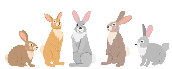 Wall Mural - rabbits, hares character flat design, cartoon, isolated vector