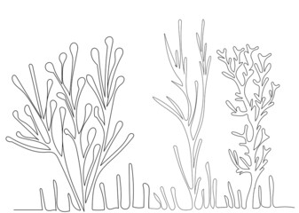 Wall Mural - algae drawing in one continuous line, isolated vector