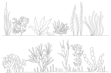 Wall Mural - algae drawing in one continuous line, isolated