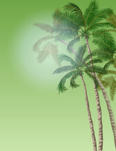 Palm Trees On A Green Sky Background. Summer Landscape With Tropical Palm Forest. Banner, Advertisement Template With Place For Text. Vector Illustration. Palmtree Leaves On White Sun, Jungle Theme