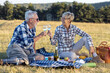 © pucko_ns - Mature couple in nature drinking wine, eating food and having fun at nature