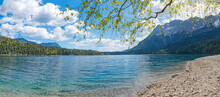 Gravel Beach At Lake Shore Eibsee, Birch Tree With Green Leaves, Zugspitze Mountain Bavarian Alps