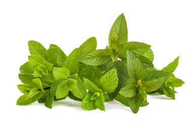 Wall Mural - Fresh mint bunch