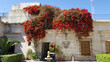 Courtyard with plants and flowers in Arequipa, Peru