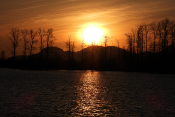 Wall Mural - Evening sun reflected in the lake