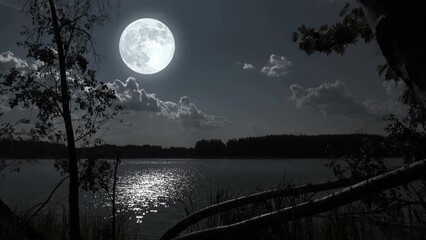 full moon night nature landscape with forest lake