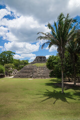 Wall Mural - Maya ruin 'El Castillo' with palm trees at the archeological site Xunantunich near San Ignacio, Belize