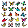 Collection of colorful butterflies, flying in different directions. Butterfle silhouette. Vector.