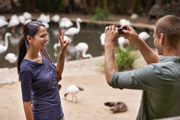 Wall Mural - Zoos are not just for kids. Shot of a couple enjoying a day at the zoo.