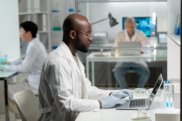 Aufkleber - Side view of young African American researcher in lab coat and surgical gloves typing on laptop keyboard while sitting by desk