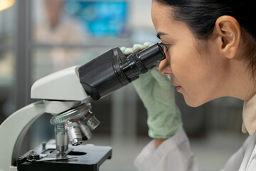 Aufkleber - Young female scientist in protective gloves looking in microscope while studying new chemical substance and its characteristics
