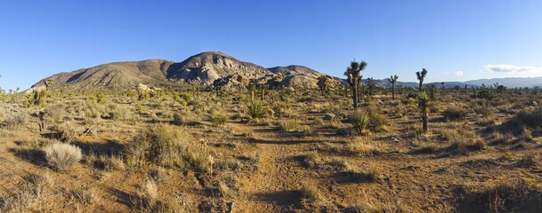 Scenic Desert Panoramic Landscape on Hall of Horrors Hiking Trail on Sunny Windy Winter Day in Joshua Tree National Park, California USA