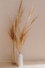 Wall Mural - Aesthetic bohemian home interior design decoration. Tan pampas grass in vase against neutral beige wall. Sunlight shadows