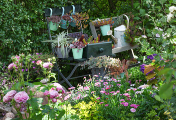 Beautiful arrangement of different shabby chic and upcycelt flower containers with different plants such as succulents, sempervivum and sedum