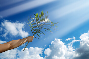 Poster - Palm Sunday Holy Week