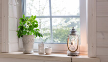 Biophilia Design. Indoor Plants On The Windowsill Of A Scandinavian-style Wooden House