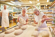 © Robert Kneschke - Bäcker Team beim Laib Brot backen in Großbäckerei
