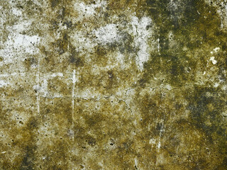 Wall Mural - dirty concrete floor with moss texture