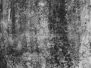 Poster - mold on concrete wall texture, grunge background