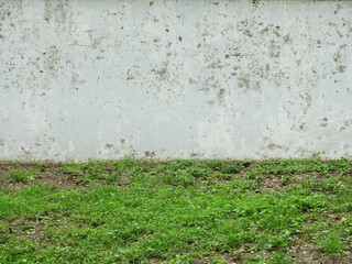 Wall Mural - abandoned place with white wall background