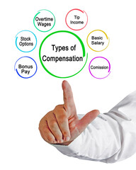 Wall Mural - Presenting Six Types of Compensation