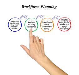 Wall Mural -  Four Components of Workforce Planning