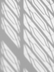 Wall Mural - abstract shadow of fence on white wall background