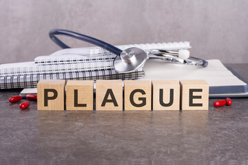 Poster - PLAGUE text on wooden blocks, medical concept, gray background