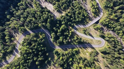 Wall Mural - a road with curves among the woods. aerial view from a drone. the dolomite alps, italy. summer lands
