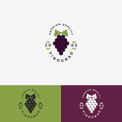 Grape fruit logo vector illustration design, Grape logo template