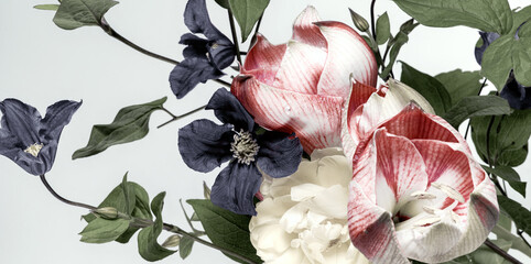 Wall Mural - bouquet of red and black flowers on white background. closeup photo