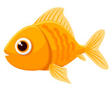 Fototapeta Pokój dzieciecy - Goldfish close-up on a white background. Character