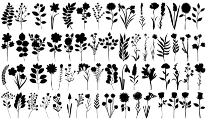 Wall Mural - set of flowers, plants black silhouette, isolated vector