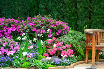 bench in the garden