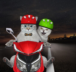 Wall Mural - A couple of cats in motorcycle helmets with a tit is riding a red moped on the highway at night.