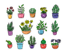 House Plants And Flowers In Pots For The Interior In Color.Vector Illustrator.Picture In Doodle Style.