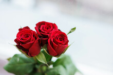Close Up Of Three Red Roses With White Background