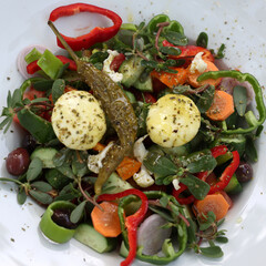 Wall Mural - Greek salad with cheese. Typical delicious greek style lunch