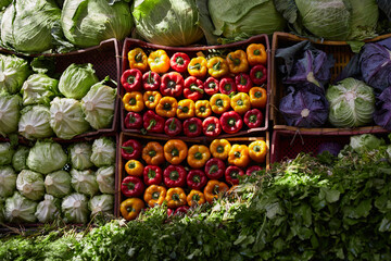 Wall Mural - Sweet pepper, cabbage, greens on the counter of the Egyptian market. Fresh vegetables in the street bazaar