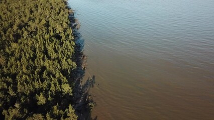 Wall Mural - Aerial view of forest, storm broken trees, shadows and Baltic sea, Kolka, Latvia.