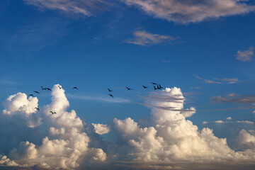 clouds in the sky