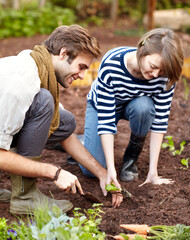 Canvas Print - Careful planting reaps long-term rewards. Shot of a young couple planting seedlings in their vegetable garden.