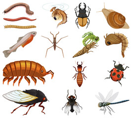 Sticker - Different kinds of insects and animals on white background