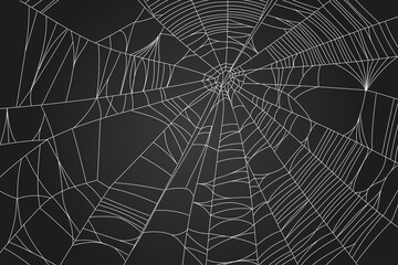  Spider web parts isolated on black background. Scary cobweb outline decor. Vector design elements for Halloween, horror, ghost or monster party, invitation and posters.