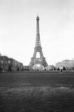 Fototapeta Boho - eiffel tower in black and white film