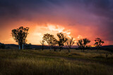 Fototapeta  - Sunset over Marulan countryside in rural Australia