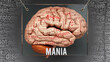 Mania anatomy - its causes and effects projected on a human brain revealing Mania complexity and relation to human mind. Concept art, 3d illustration