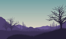 Dramatic Mountain View From The Edge Of The Forest With Dry Tree Silhouettes Around